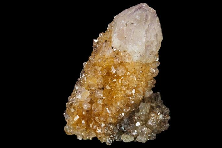 Sunshine Cactus Quartz Crystal - South Africa #115149